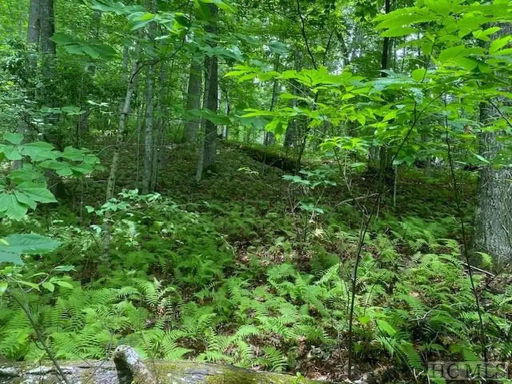 Lot 25 Rainbow Trout Tuckasegee NC 28783