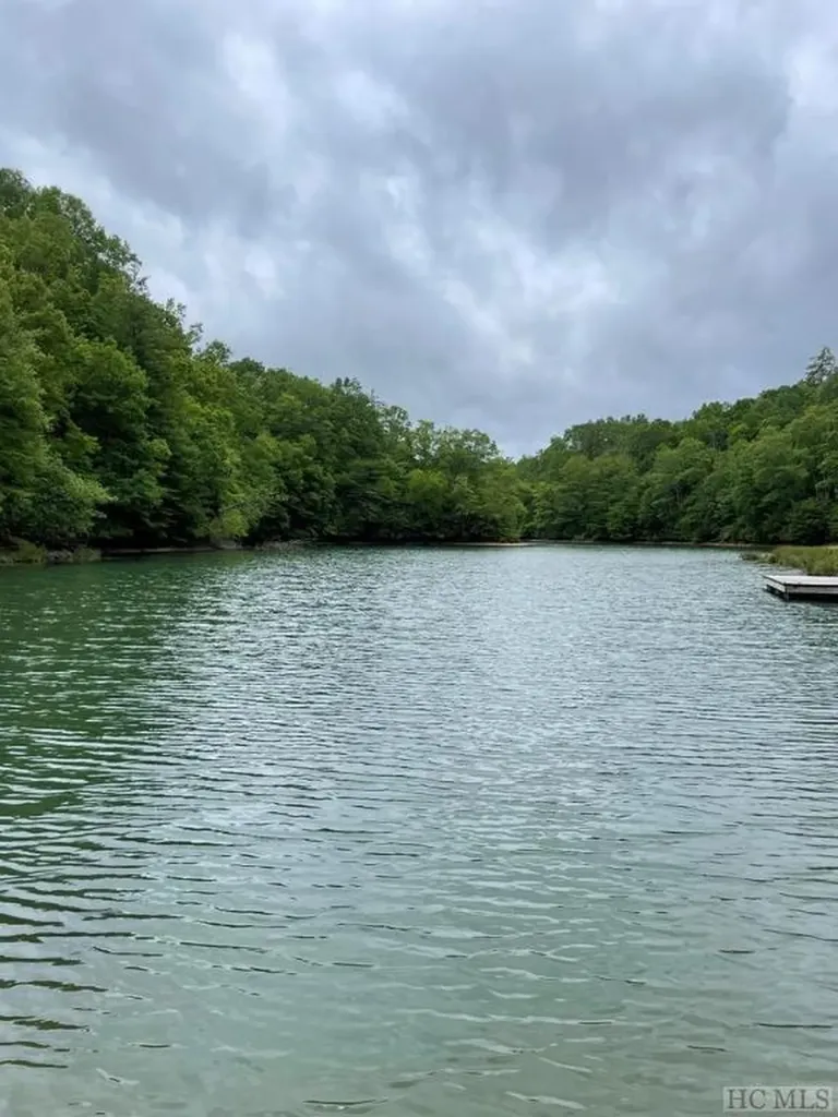 Lot 25 Rainbow Trout Tuckasegee NC 28783