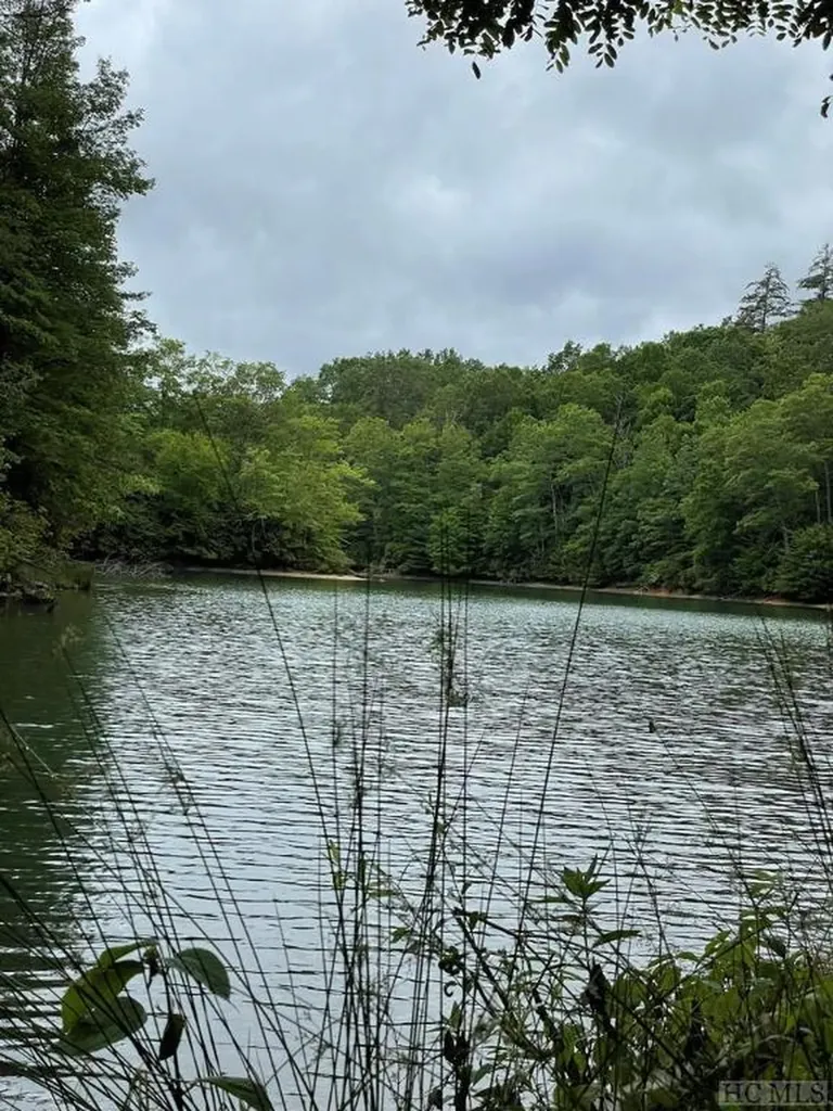 Lot 25 Rainbow Trout Tuckasegee NC 28783