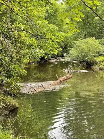 Lot 25 Rainbow Trout Tuckasegee NC 28783