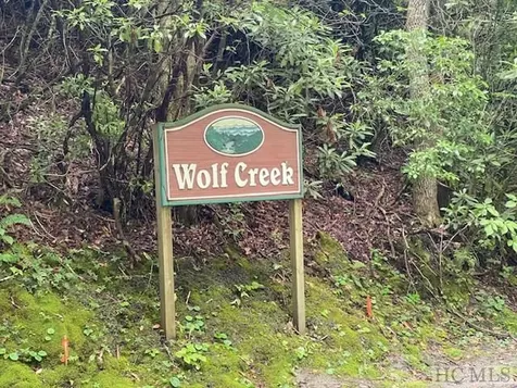 Lot 25 Rainbow Trout Tuckasegee NC 28783