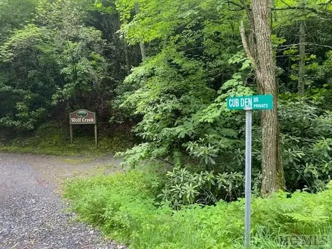 Lot 25 Rainbow Trout Tuckasegee NC 28783