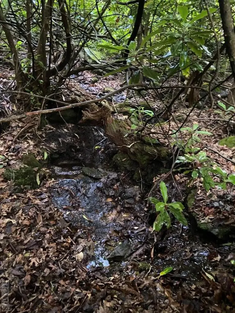 Lot 4 Park View Lane Cullowhee NC 28723