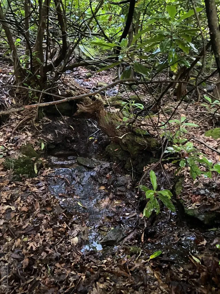 Lot 4 Park View Lane Cullowhee NC 28723