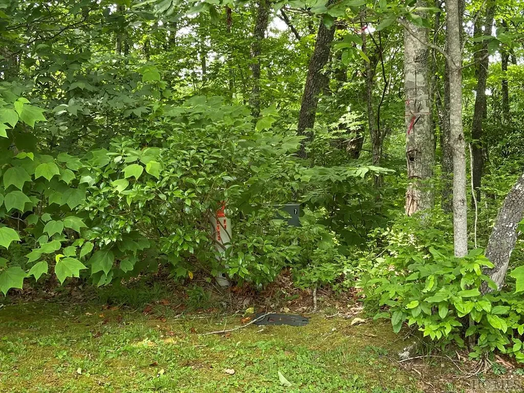 Lot 4 Park View Lane Cullowhee NC 28723