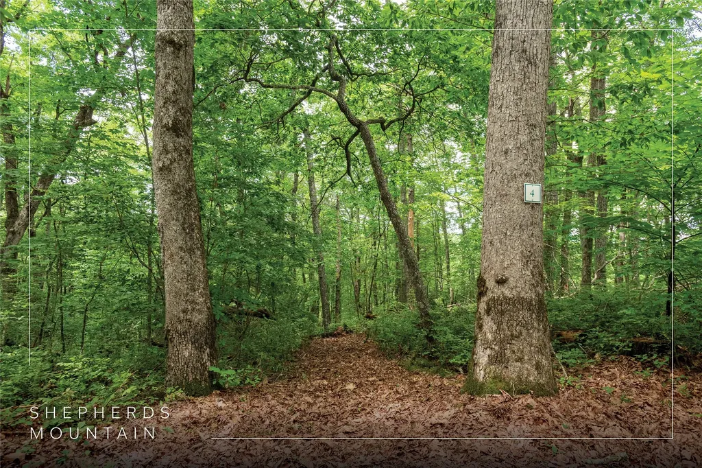 Lot 4 Park View Lane Cullowhee NC 28723