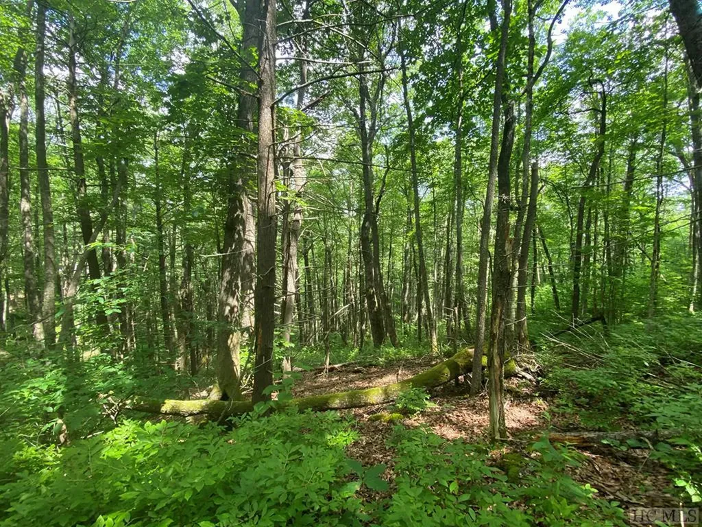 Lot 4 Park View Lane Cullowhee NC 28723