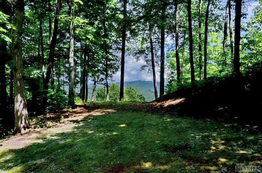 Lot 4 Park View Lane Cullowhee NC 28723