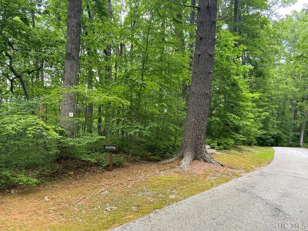 Lot 4 Park View Lane Cullowhee NC 28723