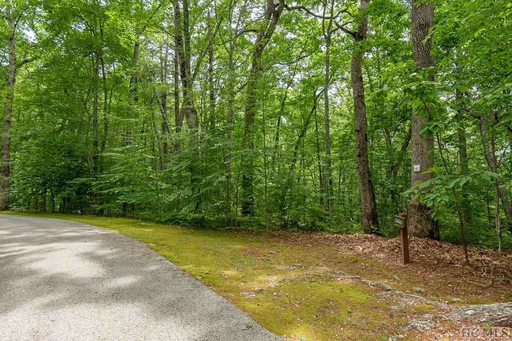 Lot 4 Park View Lane Cullowhee NC 28723