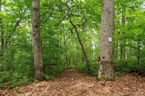 Lot 4 Park View Lane Cullowhee NC 28723