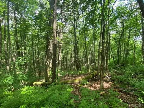 Lot 4 Park View Lane Cullowhee NC 28723
