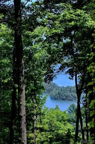 Lot 4 Park View Lane Cullowhee NC 28723