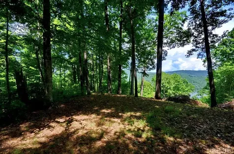 Lot 4 Park View Lane Cullowhee NC 28723