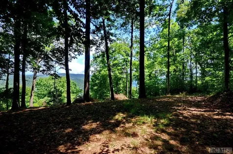 Lot 4 Park View Lane Cullowhee NC 28723