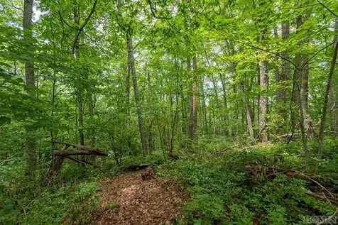 Lot 4 Park View Lane Cullowhee NC 28723