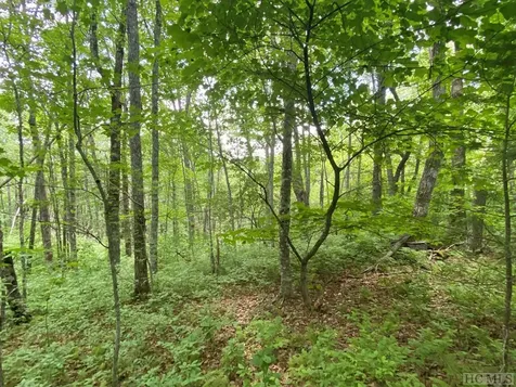 Lot 4 Park View Lane Cullowhee NC 28723