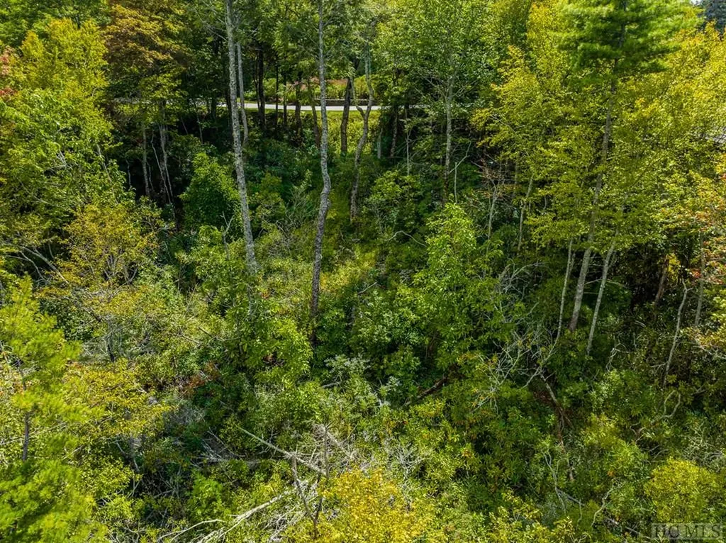 Lot 119 Garnet Rock Trail Highlands NC 28741