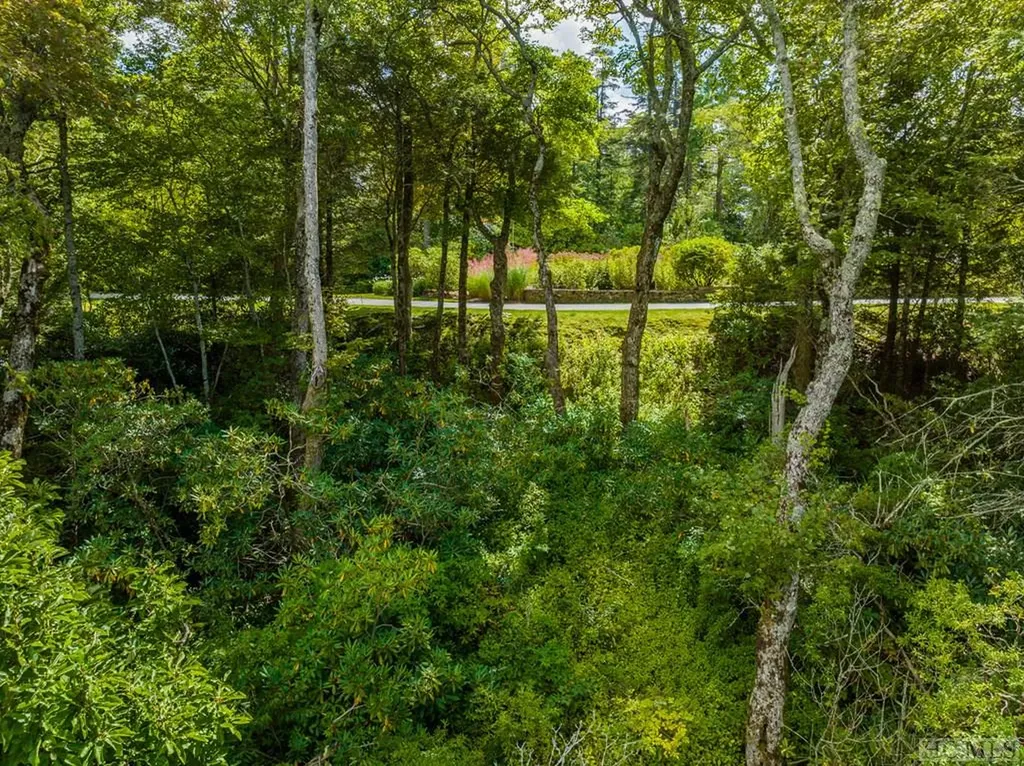 Lot 119 Garnet Rock Trail Highlands NC 28741