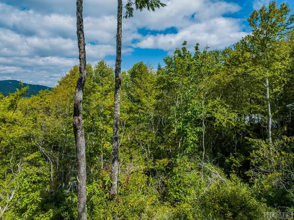 Lot 119 Garnet Rock Trail Highlands NC 28741