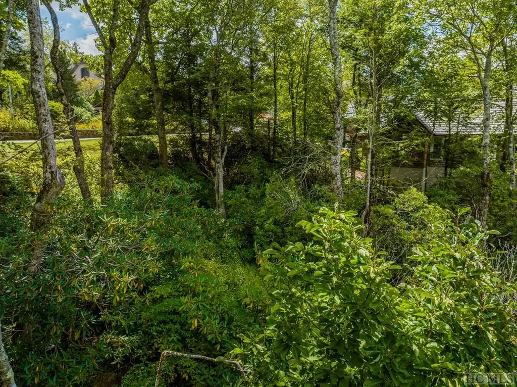 Lot 119 Garnet Rock Trail Highlands NC 28741