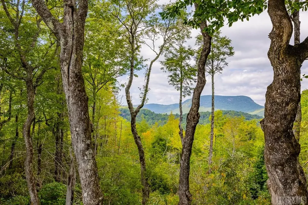 Lot 119 Garnet Rock Trail Highlands NC 28741