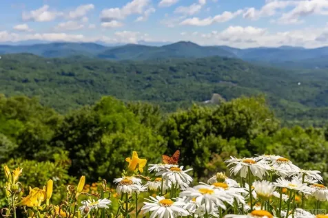 871 East Over Drive Highlands NC 28741