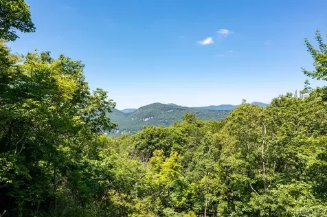 100 Tiger Paw Lane Sapphire NC 28774