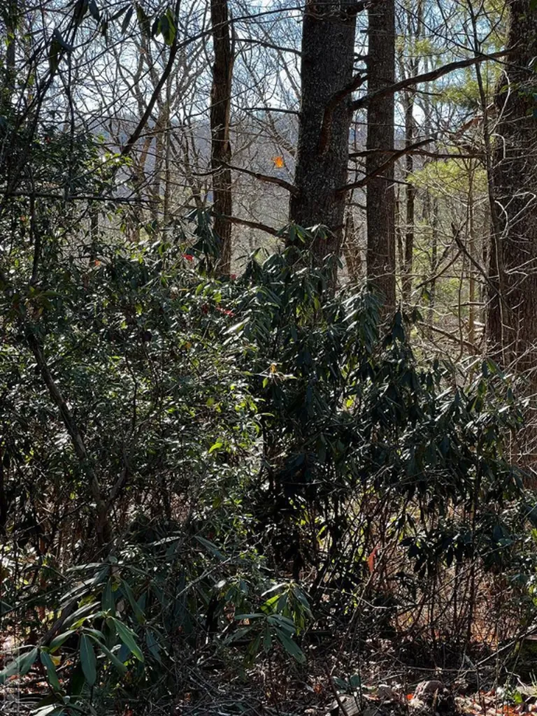 21 Wildcat Lane Cashiers NC 28717