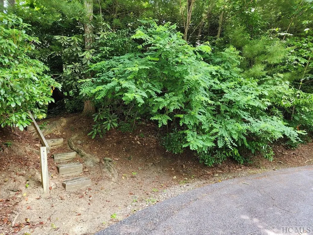 Lot 308 Whisper Winds Court Sapphire NC 28774