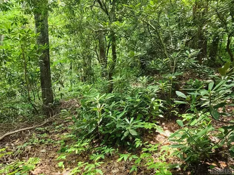 Lot 308 Whisper Winds Court Sapphire NC 28774