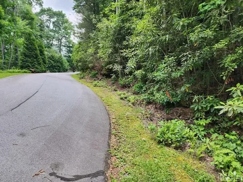 Lot 308 Whisper Winds Court Sapphire NC 28774