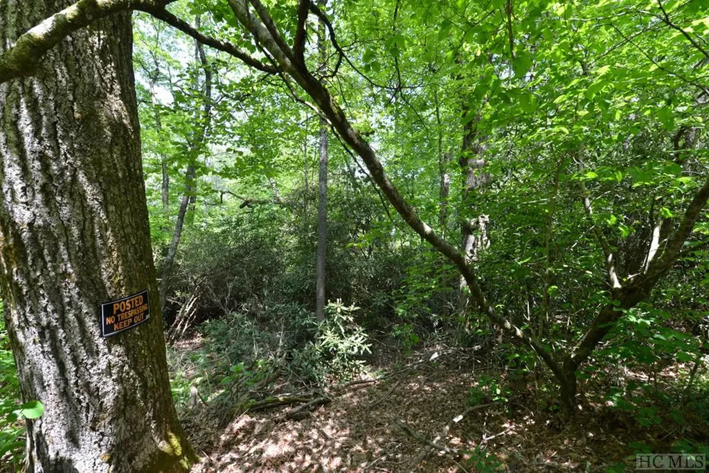 On Cobb Road Highlands NC 28741