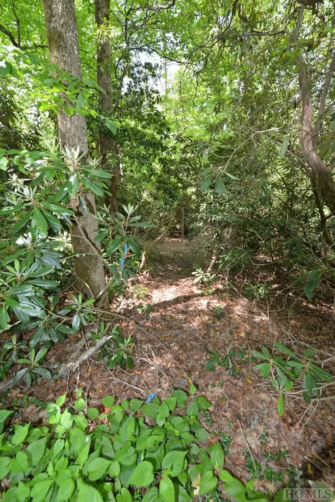 On Cobb Road Highlands NC 28741