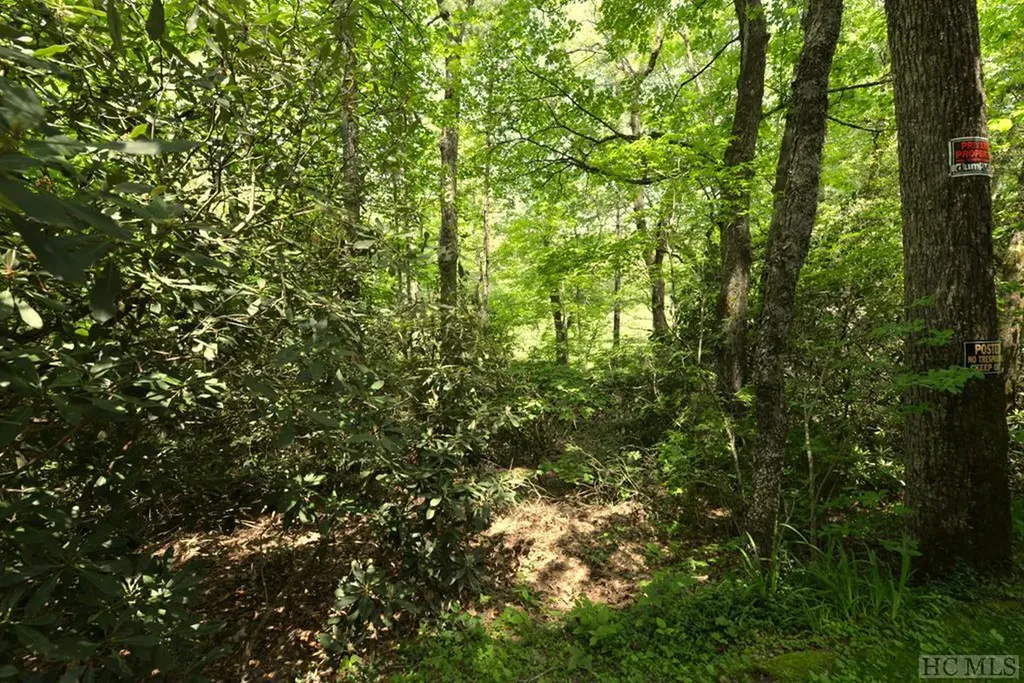 On Cobb Road Highlands NC 28741