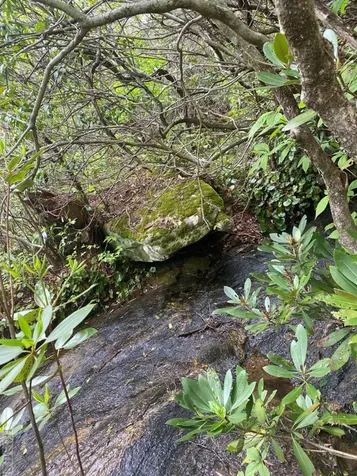 Lot 28r Stone Chimney Road Sapphire NC 28774