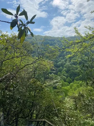 Lot 28r Stone Chimney Road Sapphire NC 28774