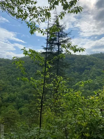 Lot 28r Stone Chimney Road Sapphire NC 28774