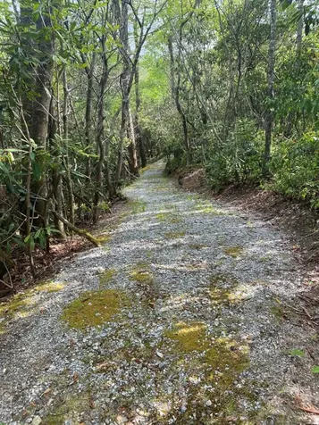 Lot 28r Stone Chimney Road Sapphire NC 28774