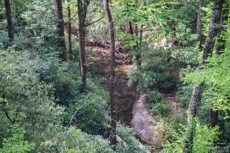 1908 W Christy Trail Sapphire NC 28774