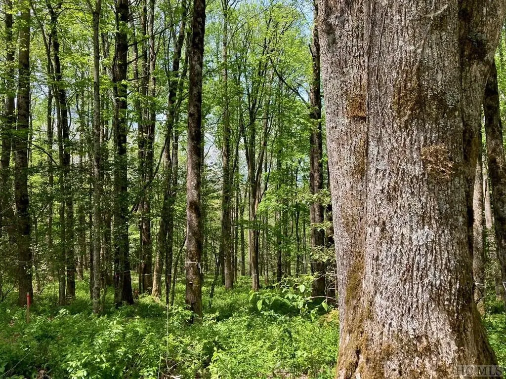 Tbd Barratt Lane Highlands NC 28741