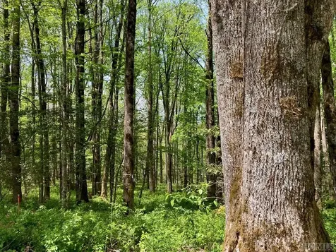 Tbd Barratt Lane Highlands NC 28741