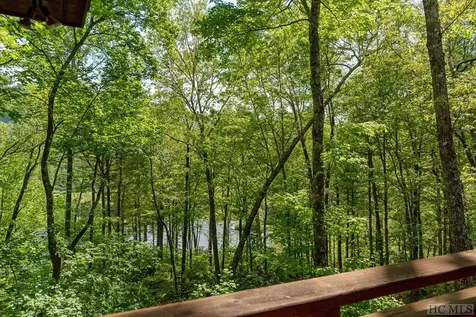188 Chinquapin Court Sapphire NC 28774