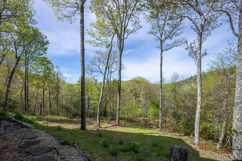 1913 Bald Rock E Sapphire NC 28774