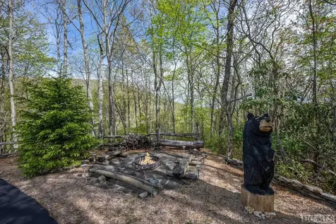 1913 Bald Rock E Sapphire NC 28774