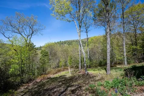1913 Bald Rock E Sapphire NC 28774