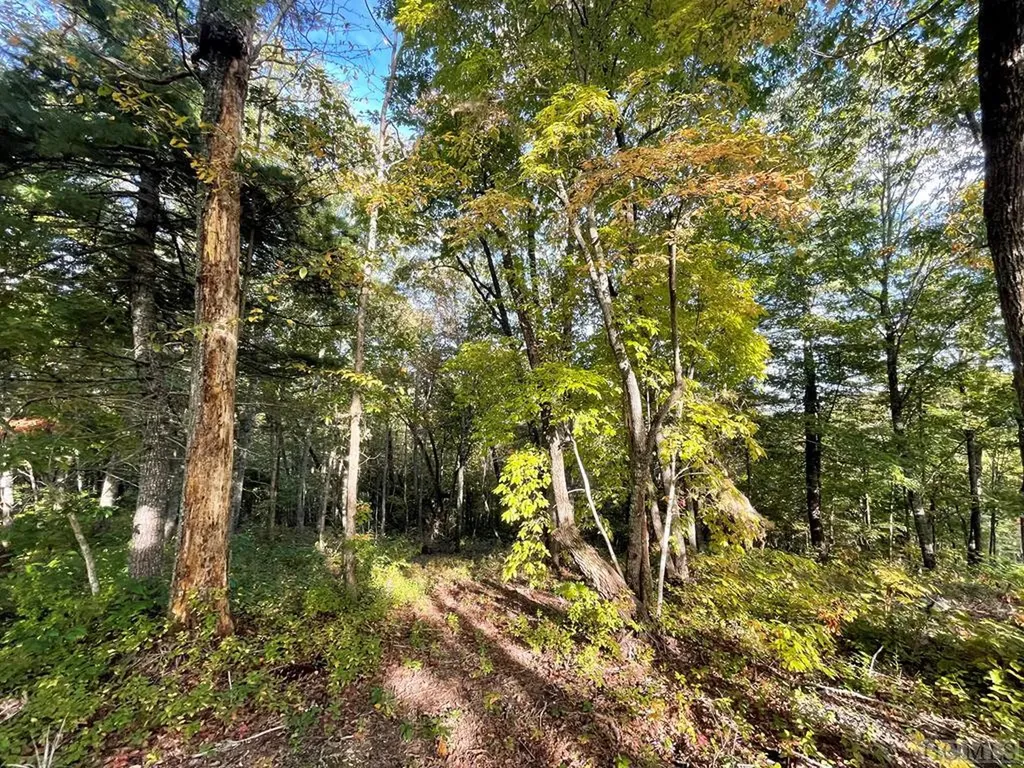 Lot A23 Hunter Jim Creek Road Cullowhee NC 28723