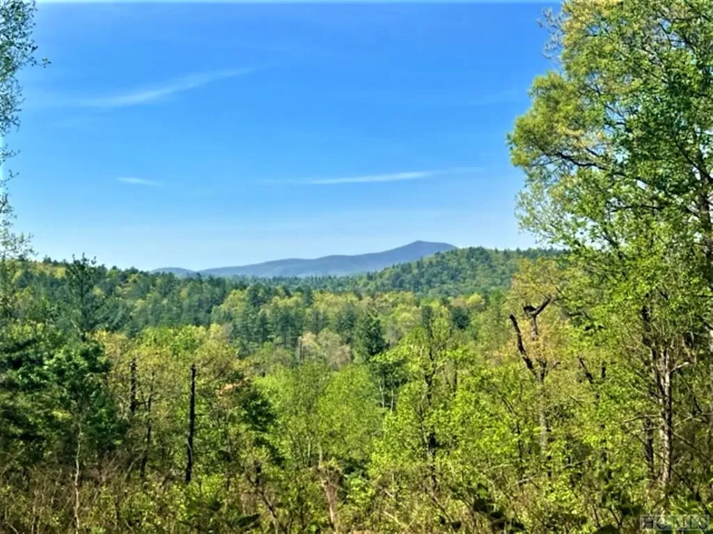 1668 Clear Creek Road Highlands NC 28741