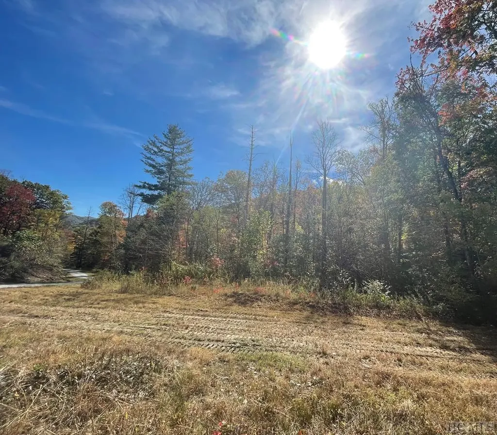 Lot A49 Twin Branch Way Cullowhee NC 28723