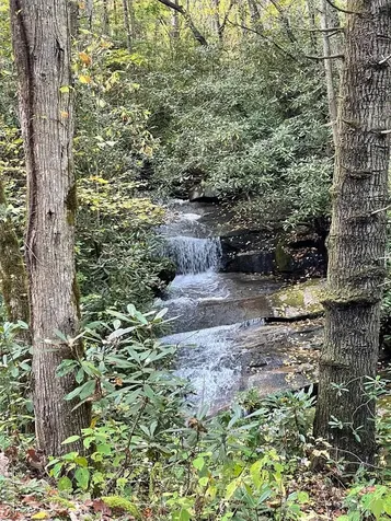 Lot A49 Twin Branch Way Cullowhee NC 28723